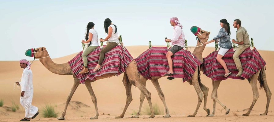 Private One Hour Camel Trekking