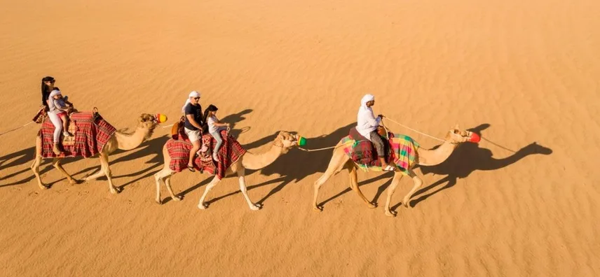 Private One Hour Camel Trekking-2