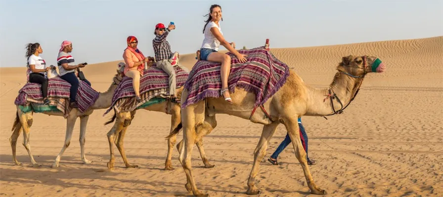 Private One Hour Camel Trekking-3